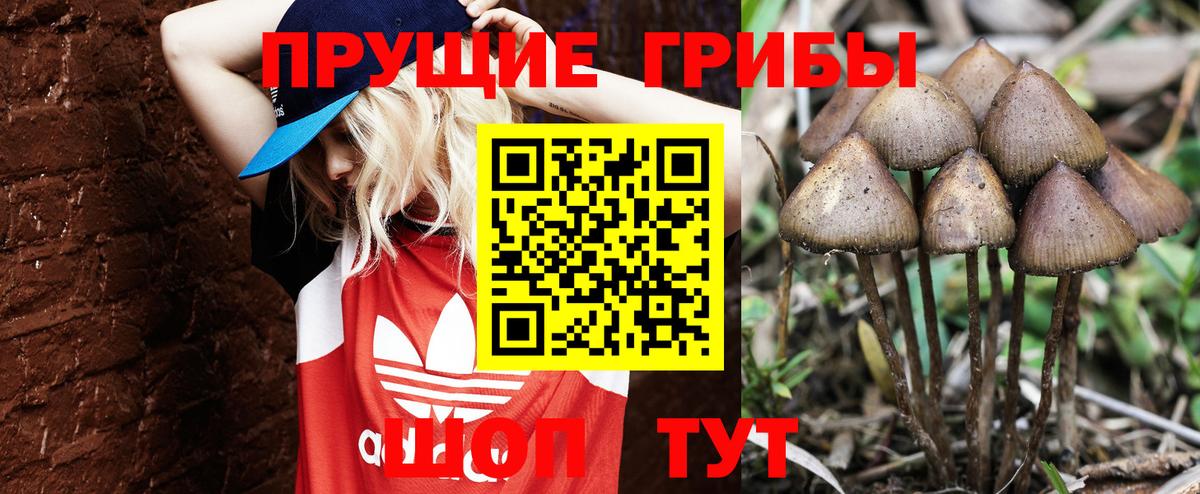 Хабаровск  купить наркотик  Вход с VPN  Псилоцибиновые грибы мухоморы 